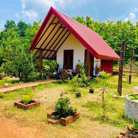 Sigiri Enaya Cottage Sigiriya Buitenkant foto