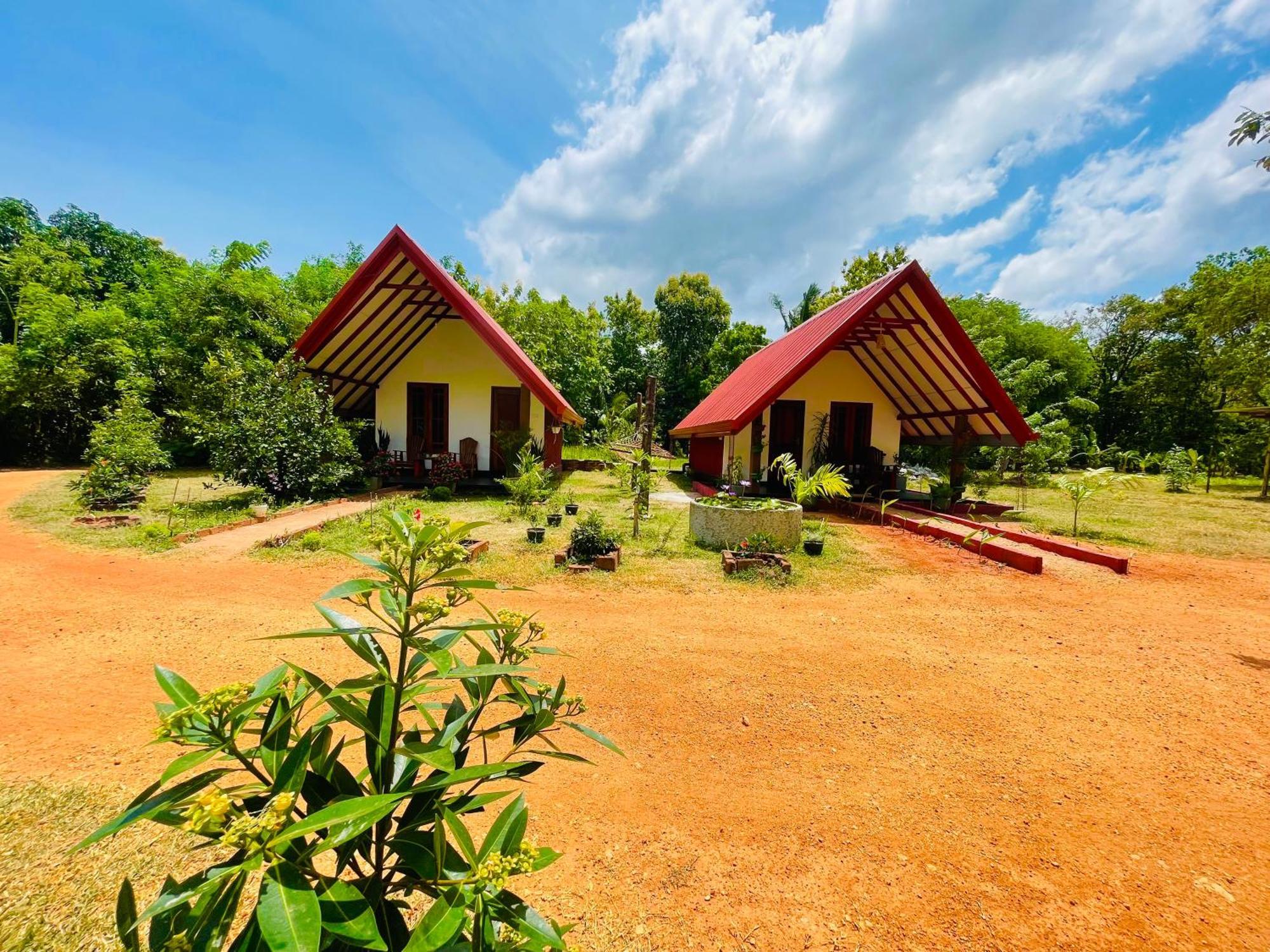 Sigiri Enaya Cottage Sigiriya Buitenkant foto